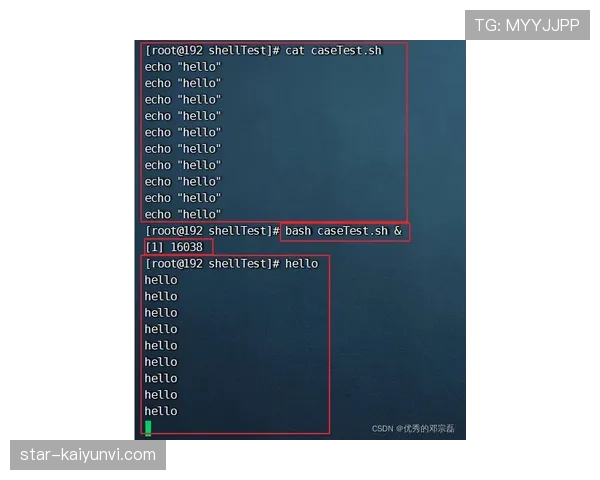VAR规则详解：回放范围与裁判最终判定原则